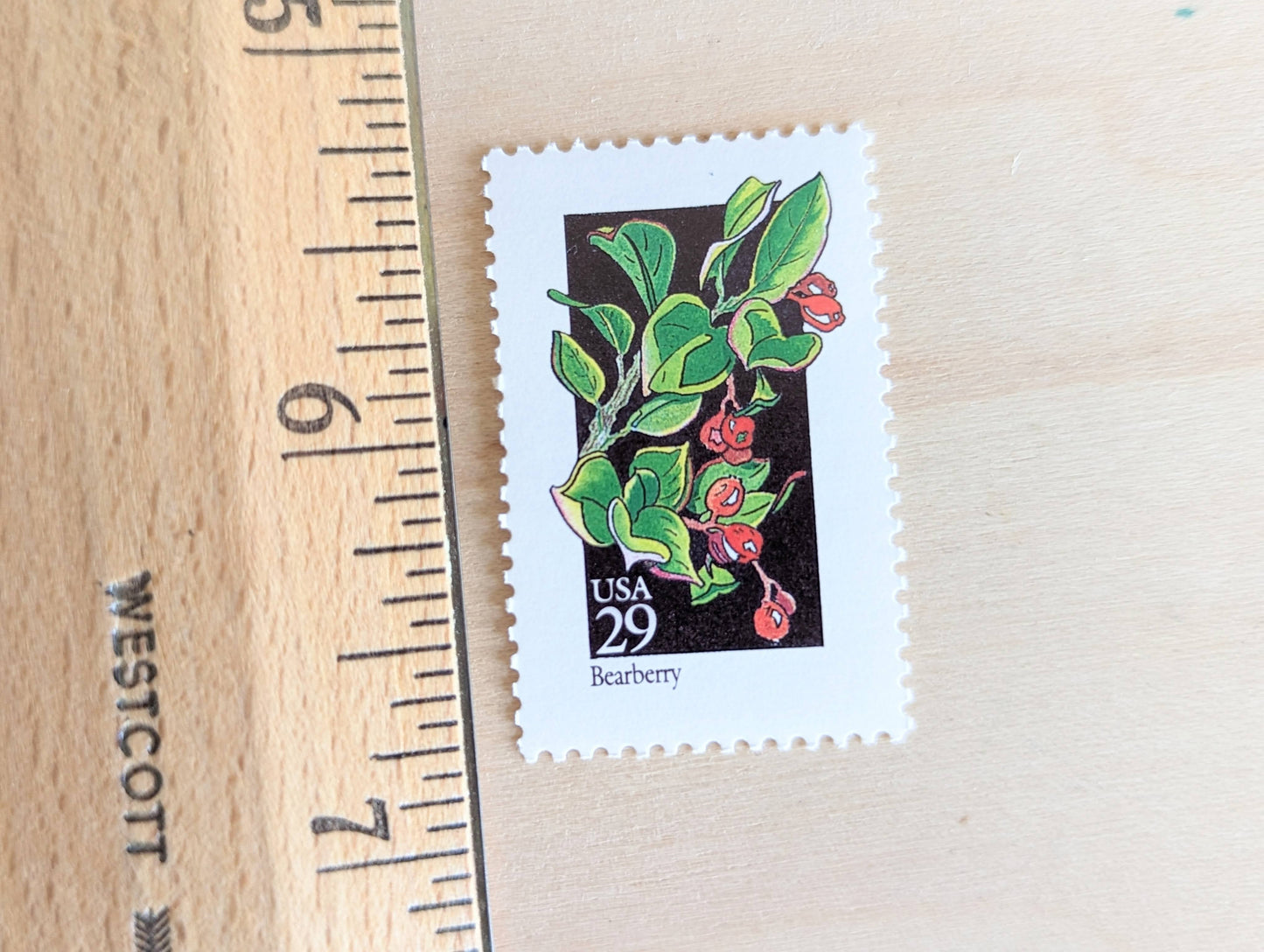 Set of 5 Bearberry Wildflower Stamps, 29 cent stamps, 1992 Unused USPS Postage Stamps