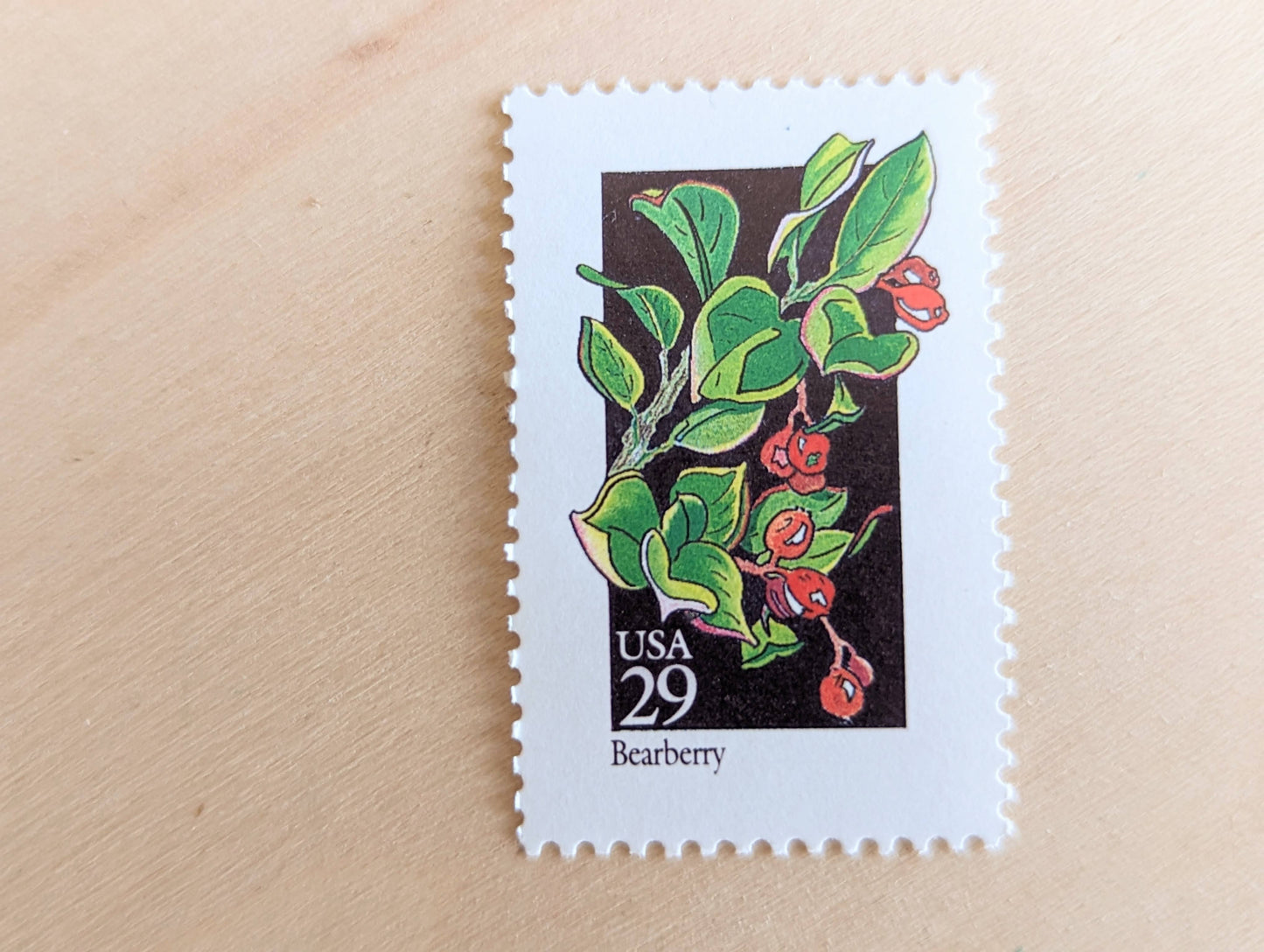 Set of 5 Bearberry Wildflower Stamps, 29 cent stamps, 1992 Unused USPS Postage Stamps