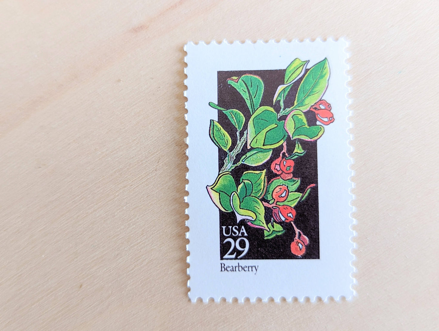 Set of 5 Bearberry Wildflower Stamps, 29 cent stamps, 1992 Unused USPS Postage Stamps