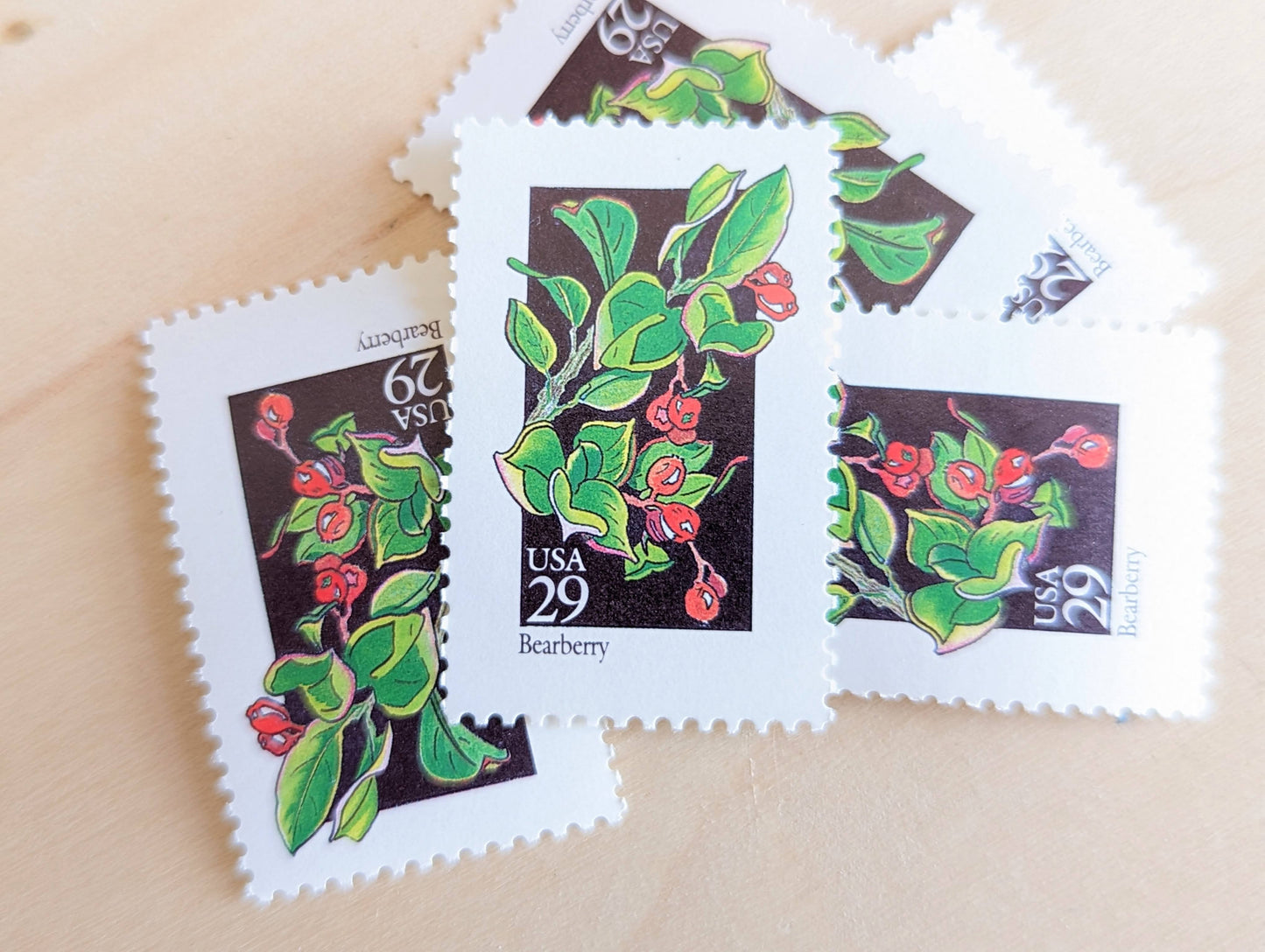 Set of 5 Bearberry Wildflower Stamps, 29 cent stamps, 1992 Unused USPS Postage Stamps