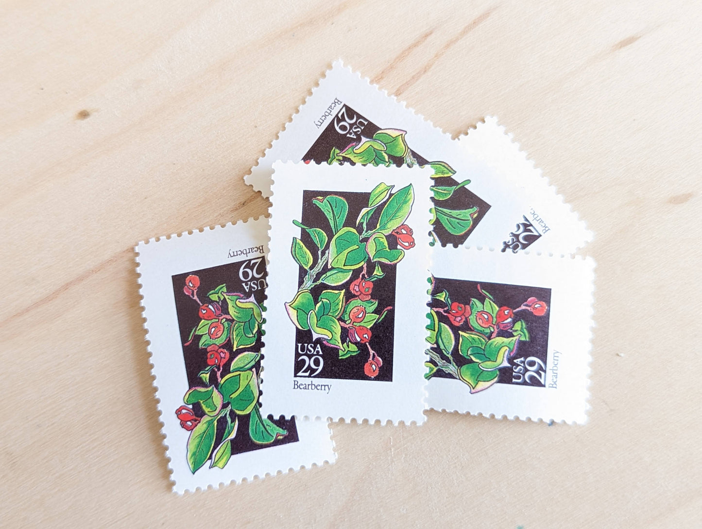 Set of 5 Bearberry Wildflower Stamps, 29 cent stamps, 1992 Unused USPS Postage Stamps