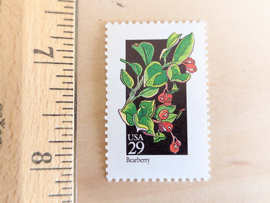 Set of 5 Bearberry Wildflower Stamps, 29 cent stamps, 1992 Unused USPS Postage Stamps