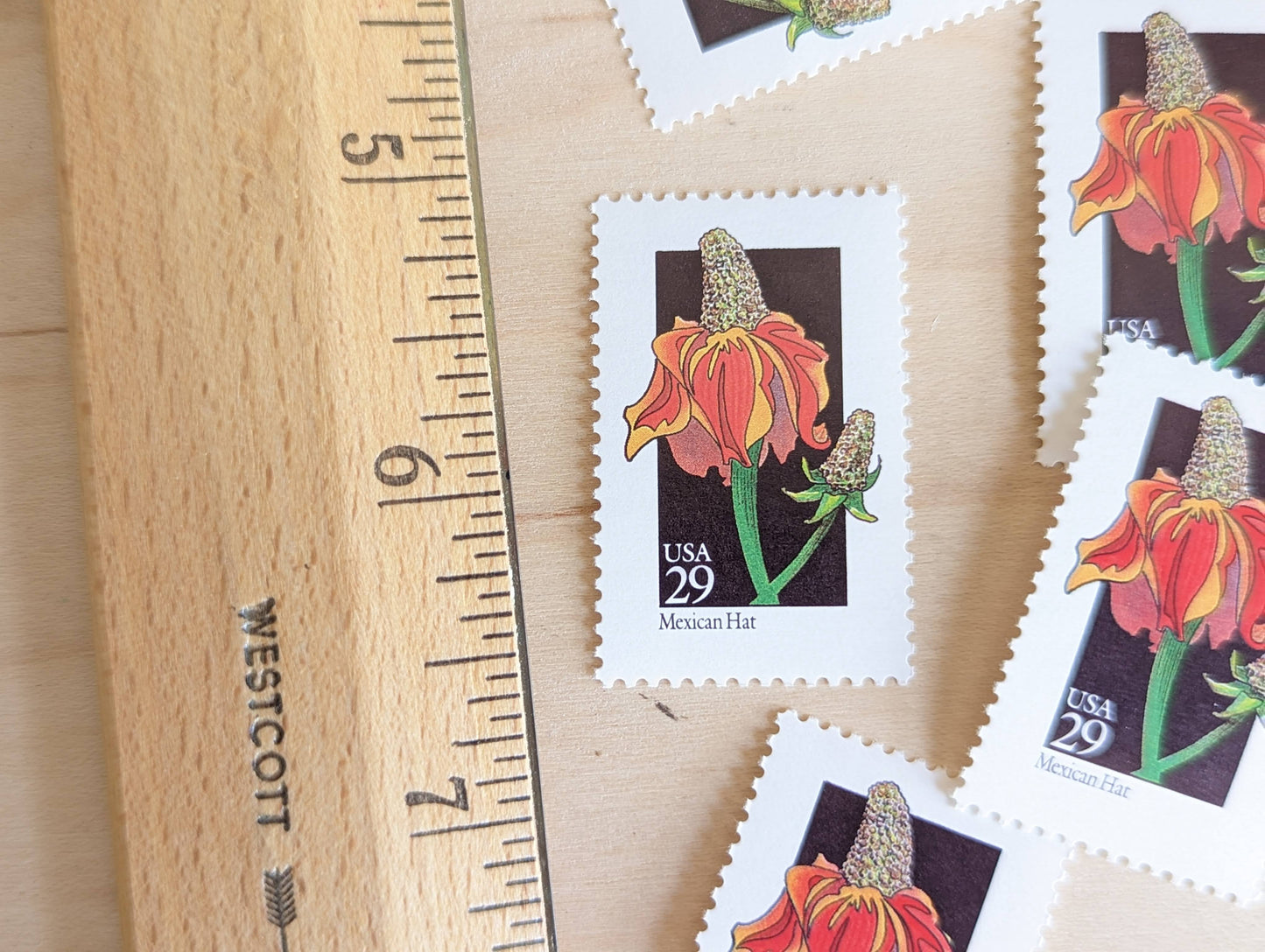 Set of 5 Mexican Hat Wildflower Stamps, 29 cent stamps, 1992 Unused USPS Postage Stamps