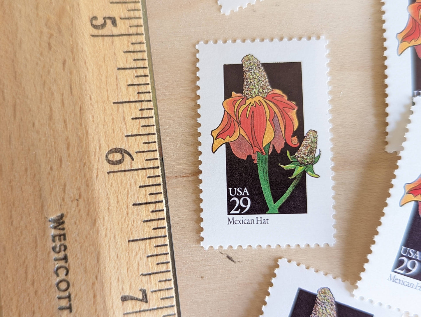 Set of 5 Mexican Hat Wildflower Stamps, 29 cent stamps, 1992 Unused USPS Postage Stamps