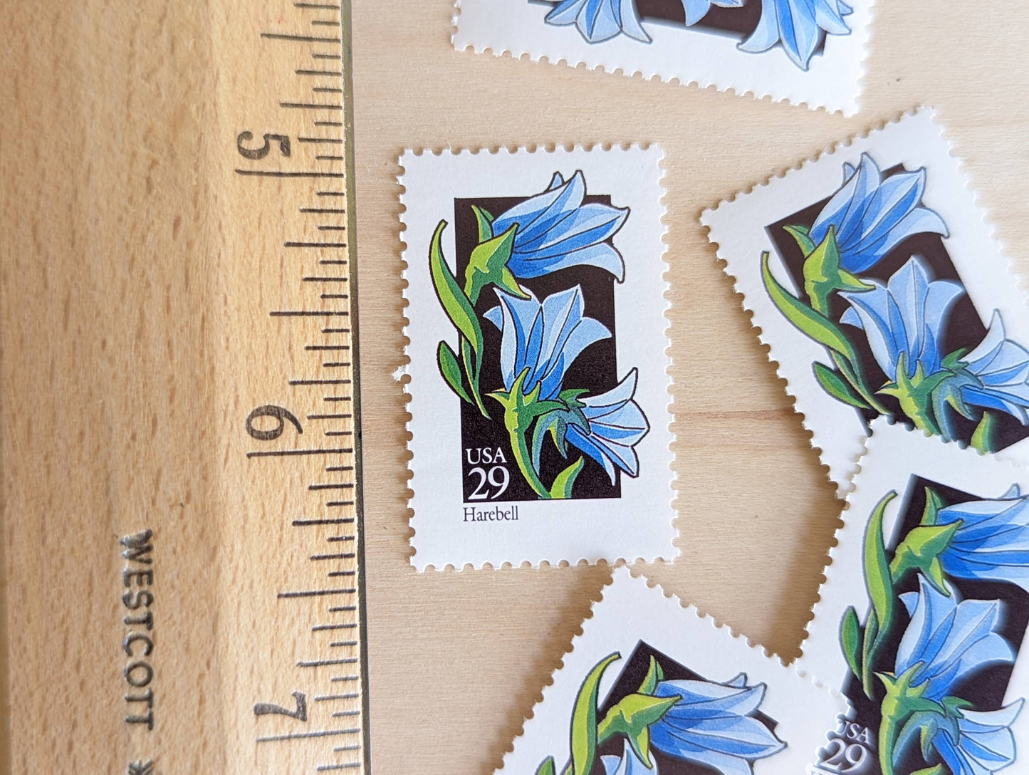 Set of 5 Harebell Wildflower Stamps, 29 cent stamps, 1992 Unused USPS Postage Stamps