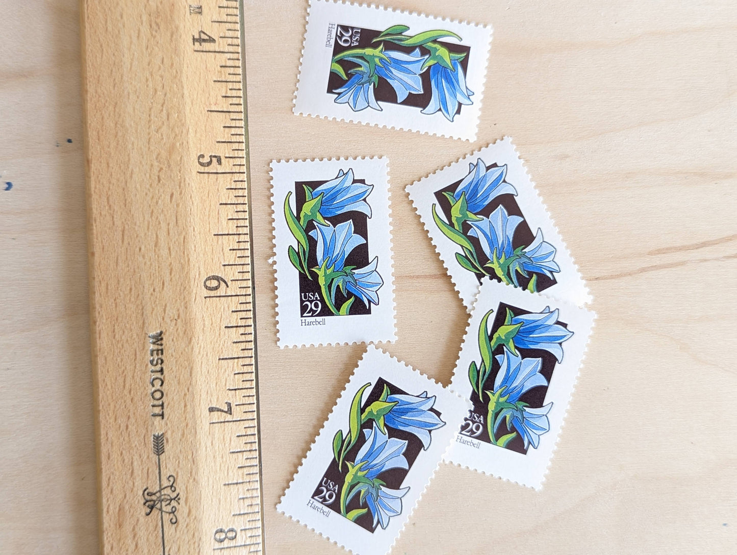 Set of 5 Harebell Wildflower Stamps, 29 cent stamps, 1992 Unused USPS Postage Stamps