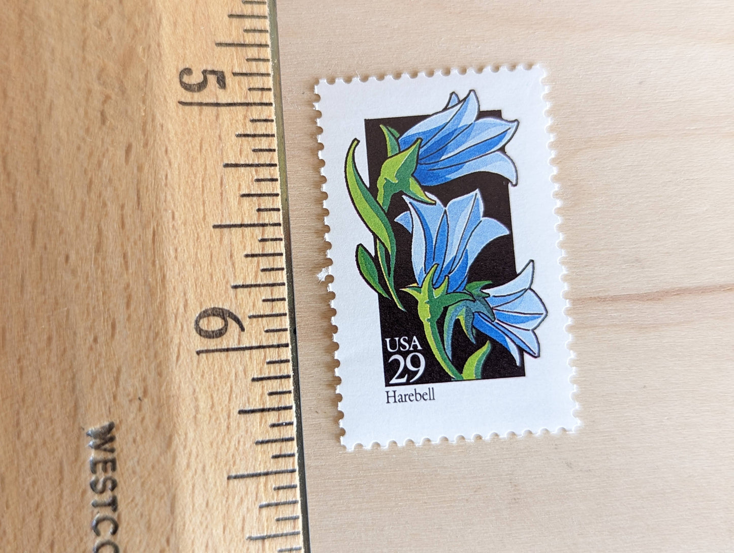 Set of 5 Harebell Wildflower Stamps, 29 cent stamps, 1992 Unused USPS Postage Stamps