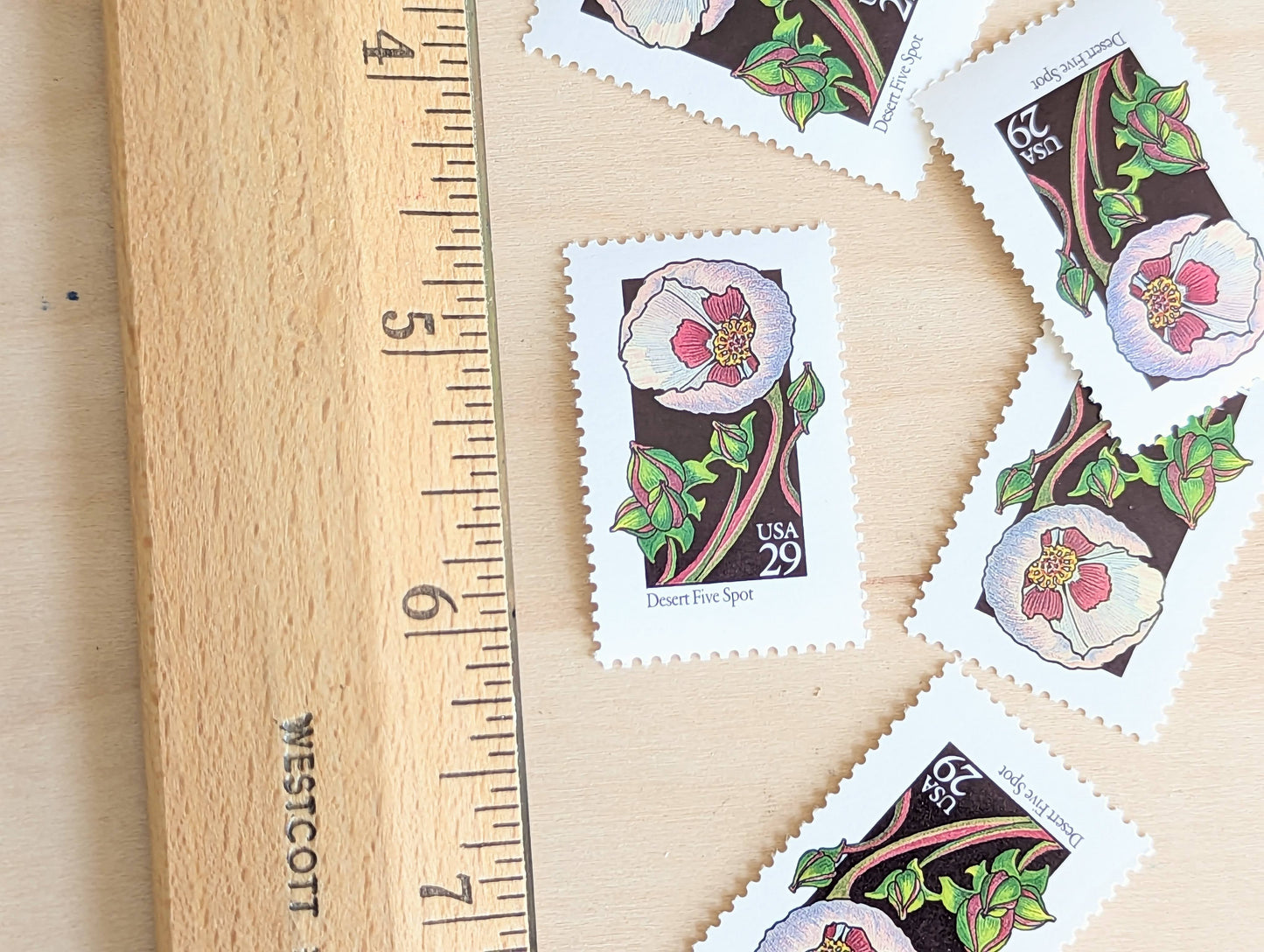 Set of 5 Desert Five Spot Wildflower Stamps, 29 cent stamps, 1992 Unused USPS Postage Stamps