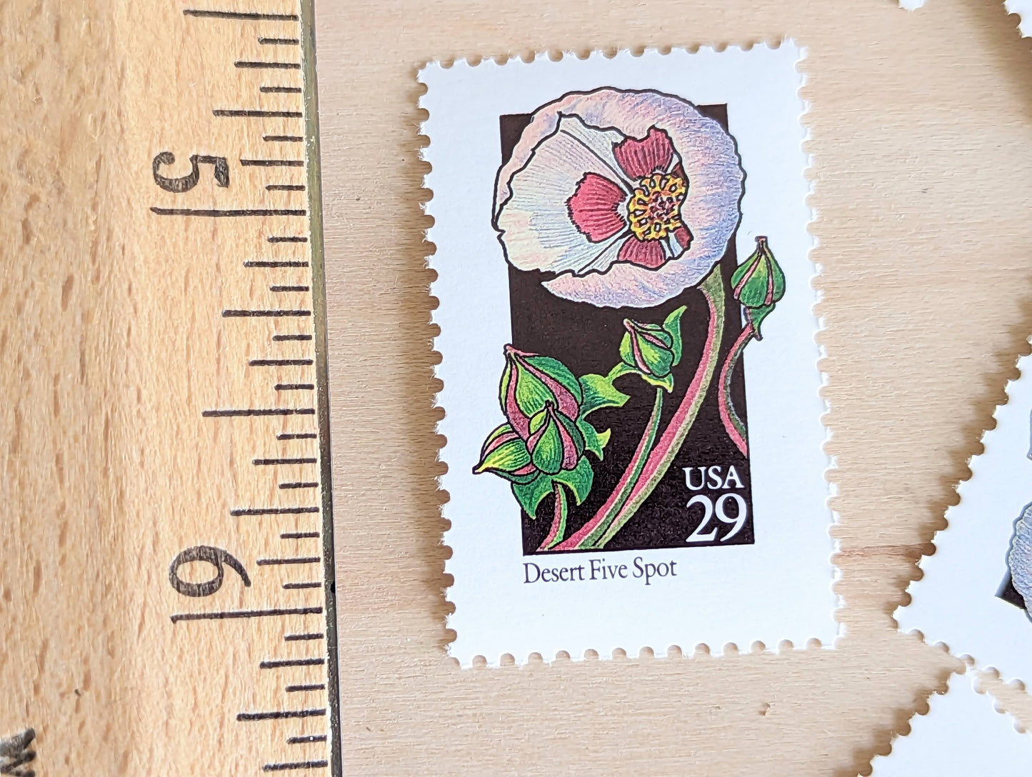 Set of 5 Desert Five Spot Wildflower Stamps, 29 cent stamps, 1992 Unused USPS Postage Stamps