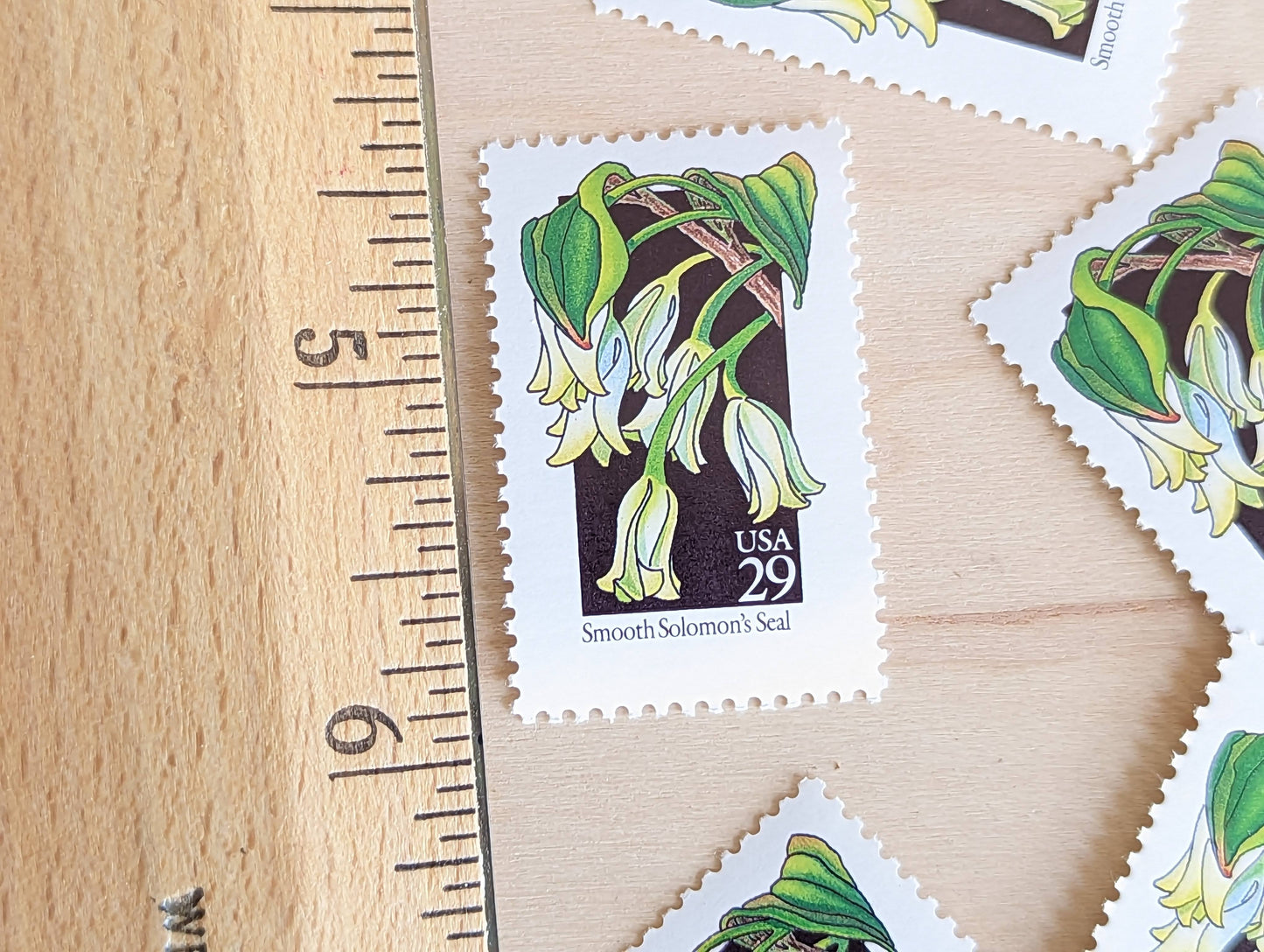 Set of 5 Smooth Solomon's Seal Wildflower Stamps, 29 cent stamps, 1992 Unused USPS Postage Stamps