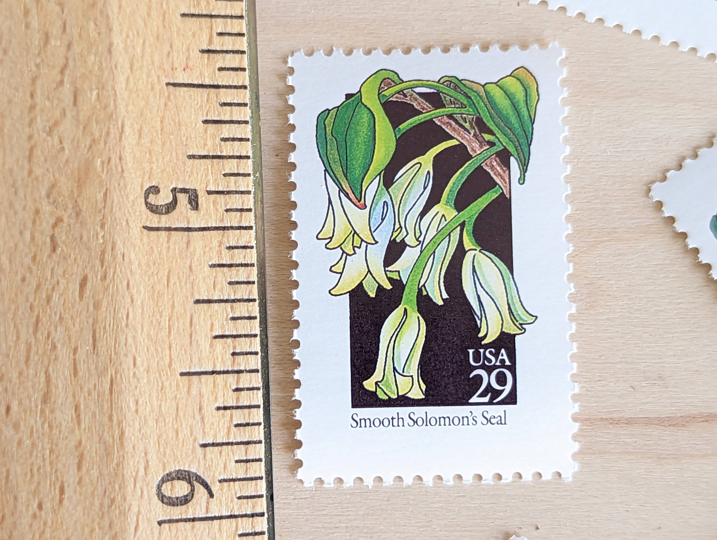 Set of 5 Smooth Solomon's Seal Wildflower Stamps, 29 cent stamps, 1992 Unused USPS Postage Stamps