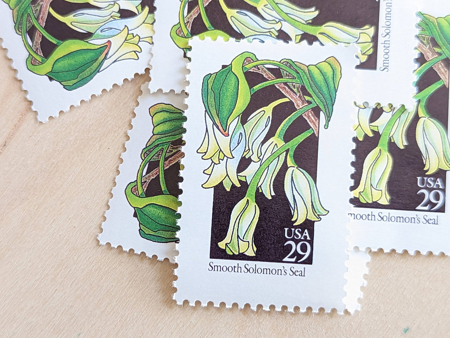 Set of 5 Smooth Solomon's Seal Wildflower Stamps, 29 cent stamps, 1992 Unused USPS Postage Stamps