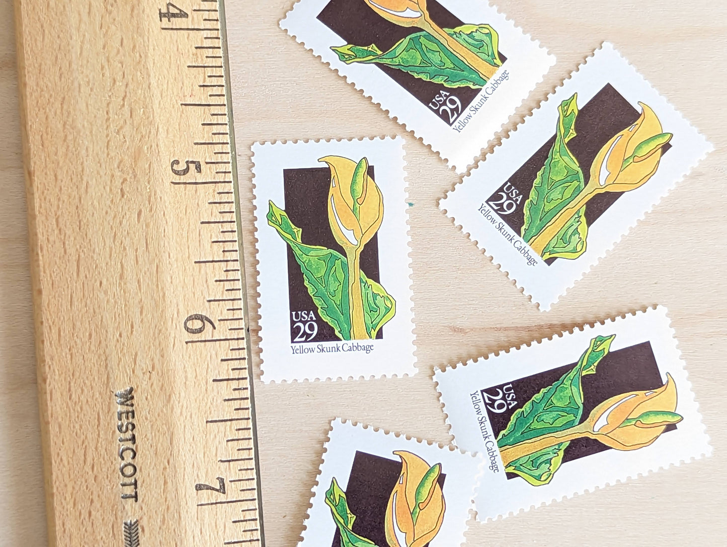 Set of 5 Yellow Skunk Cabbage Wildflower Stamps, 29 cent stamps, 1992 Unused USPS Postage Stamp