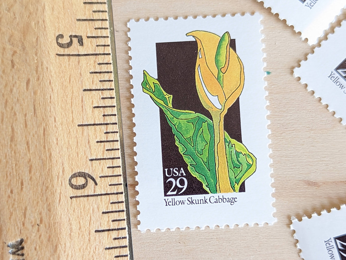 Set of 5 Yellow Skunk Cabbage Wildflower Stamps, 29 cent stamps, 1992 Unused USPS Postage Stamp