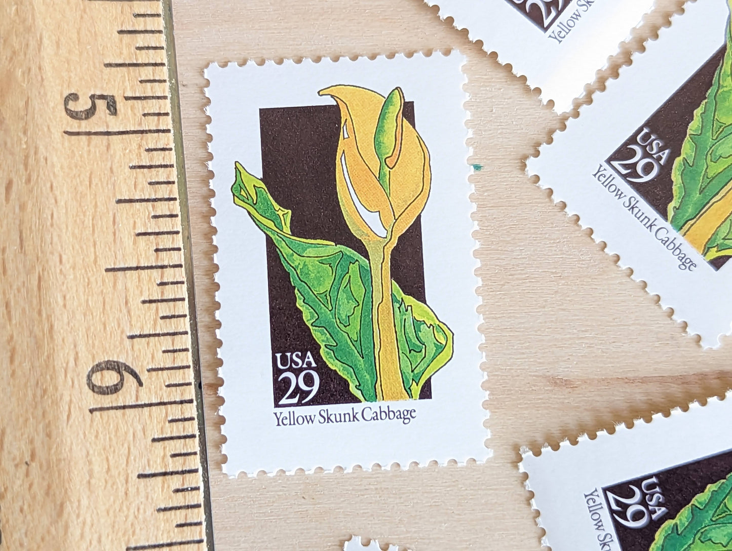 Set of 5 Yellow Skunk Cabbage Wildflower Stamps, 29 cent stamps, 1992 Unused USPS Postage Stamp