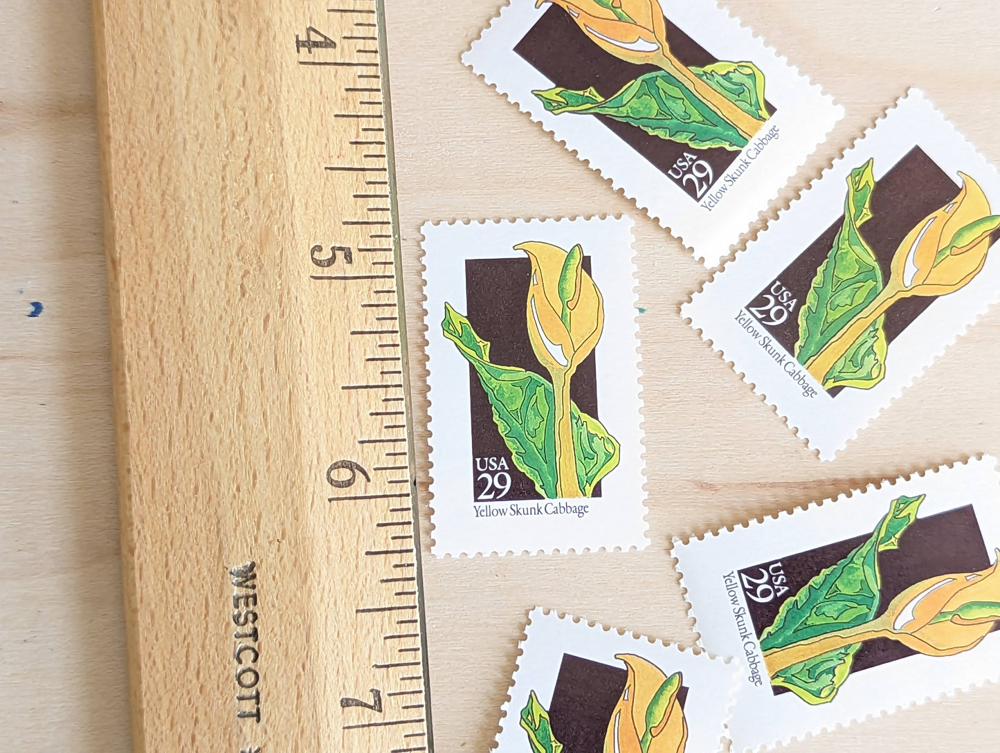 Set of 5 Yellow Skunk Cabbage Wildflower Stamps, 29 cent stamps, 1992 Unused USPS Postage Stamp