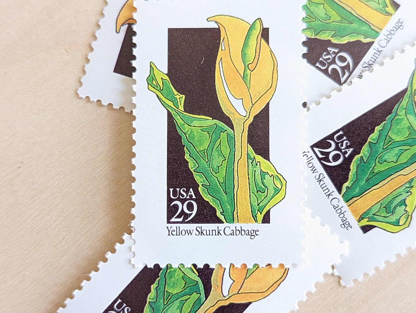 Set of 5 Yellow Skunk Cabbage Wildflower Stamps, 29 cent stamps, 1992 Unused USPS Postage Stamp