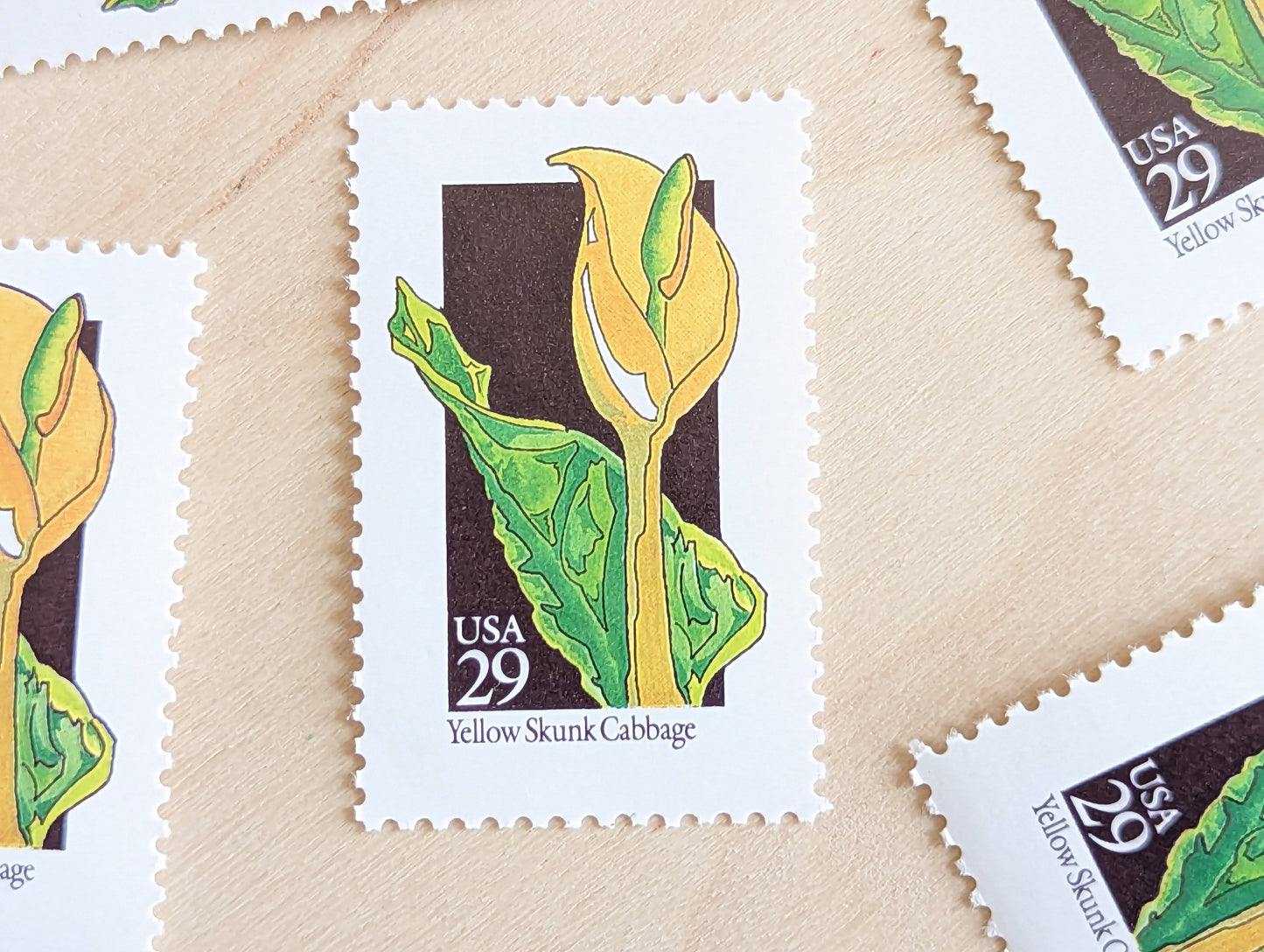 Set of 5 Yellow Skunk Cabbage Wildflower Stamps, 29 cent stamps, 1992 Unused USPS Postage Stamp