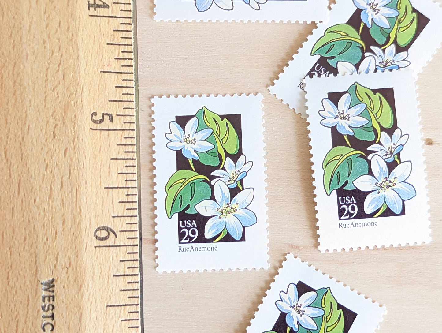 Set of 5 Rue Anemone Wildflower Stamps, 29 cent stamps, 1992 Unused USPS Postage Stamp