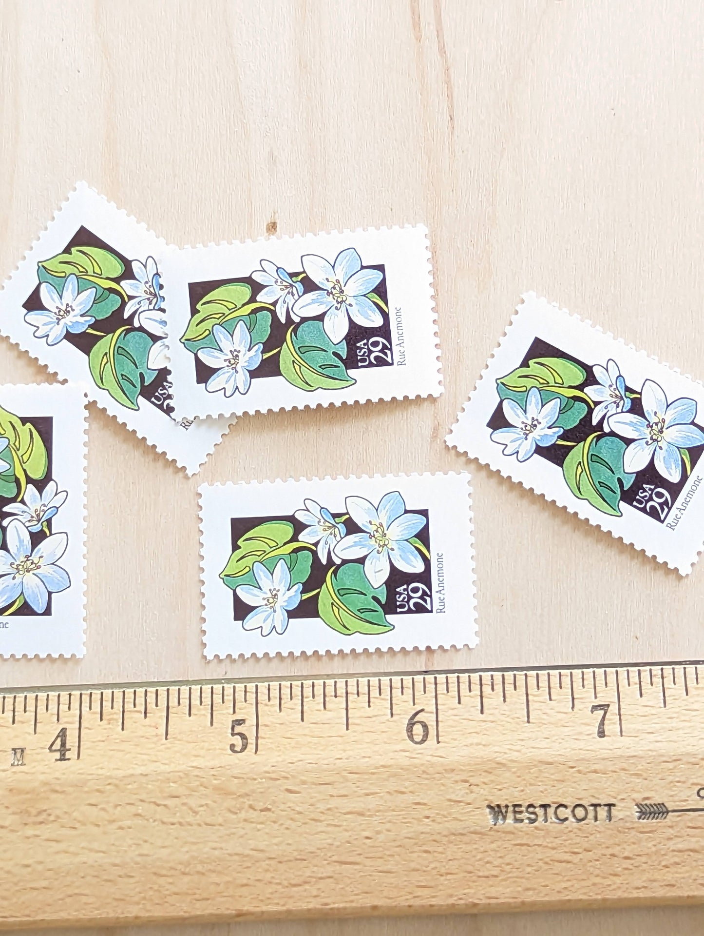 Set of 5 Rue Anemone Wildflower Stamps, 29 cent stamps, 1992 Unused USPS Postage Stamp