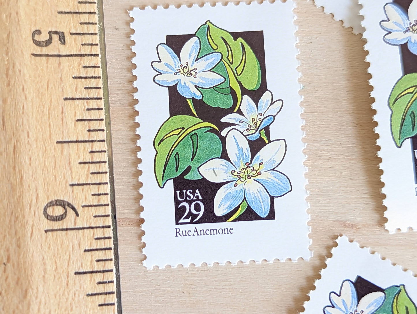 Set of 5 Rue Anemone Wildflower Stamps, 29 cent stamps, 1992 Unused USPS Postage Stamp