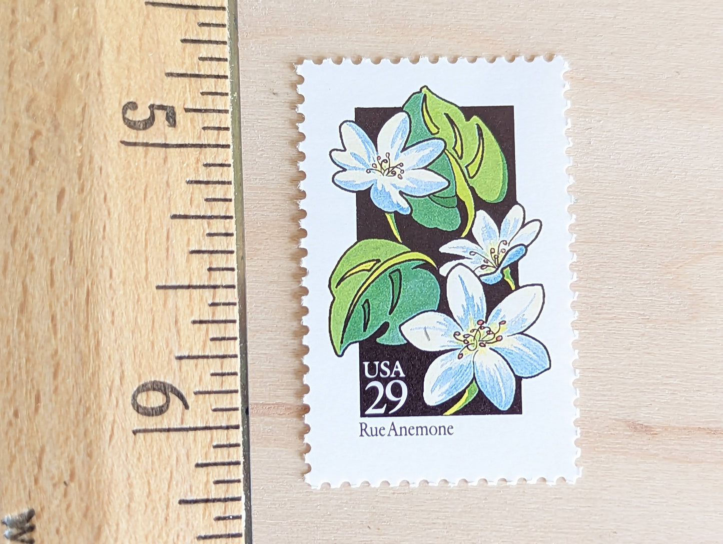 Set of 5 Rue Anemone Wildflower Stamps, 29 cent stamps, 1992 Unused USPS Postage Stamp