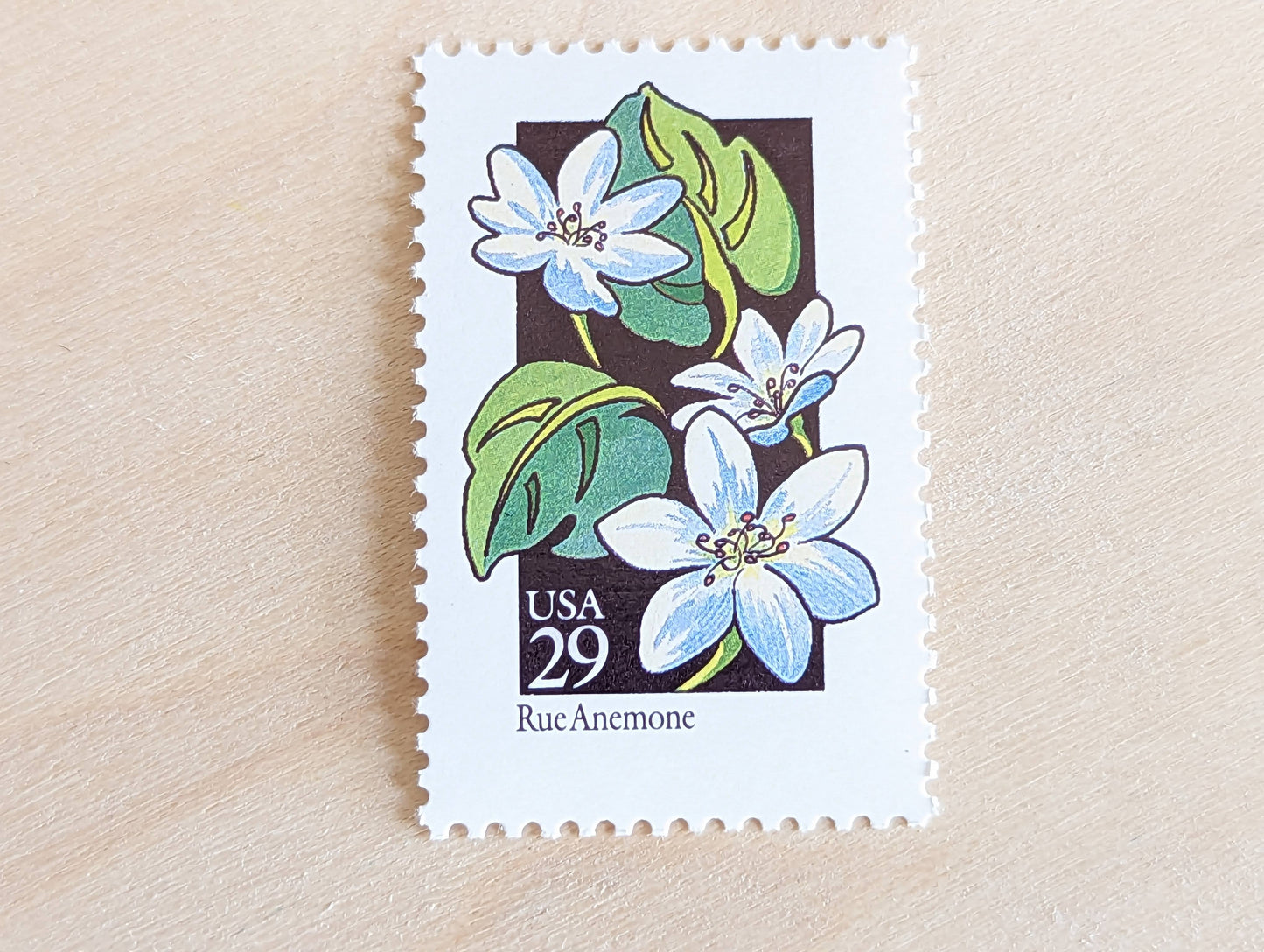 Set of 5 Rue Anemone Wildflower Stamps, 29 cent stamps, 1992 Unused USPS Postage Stamp