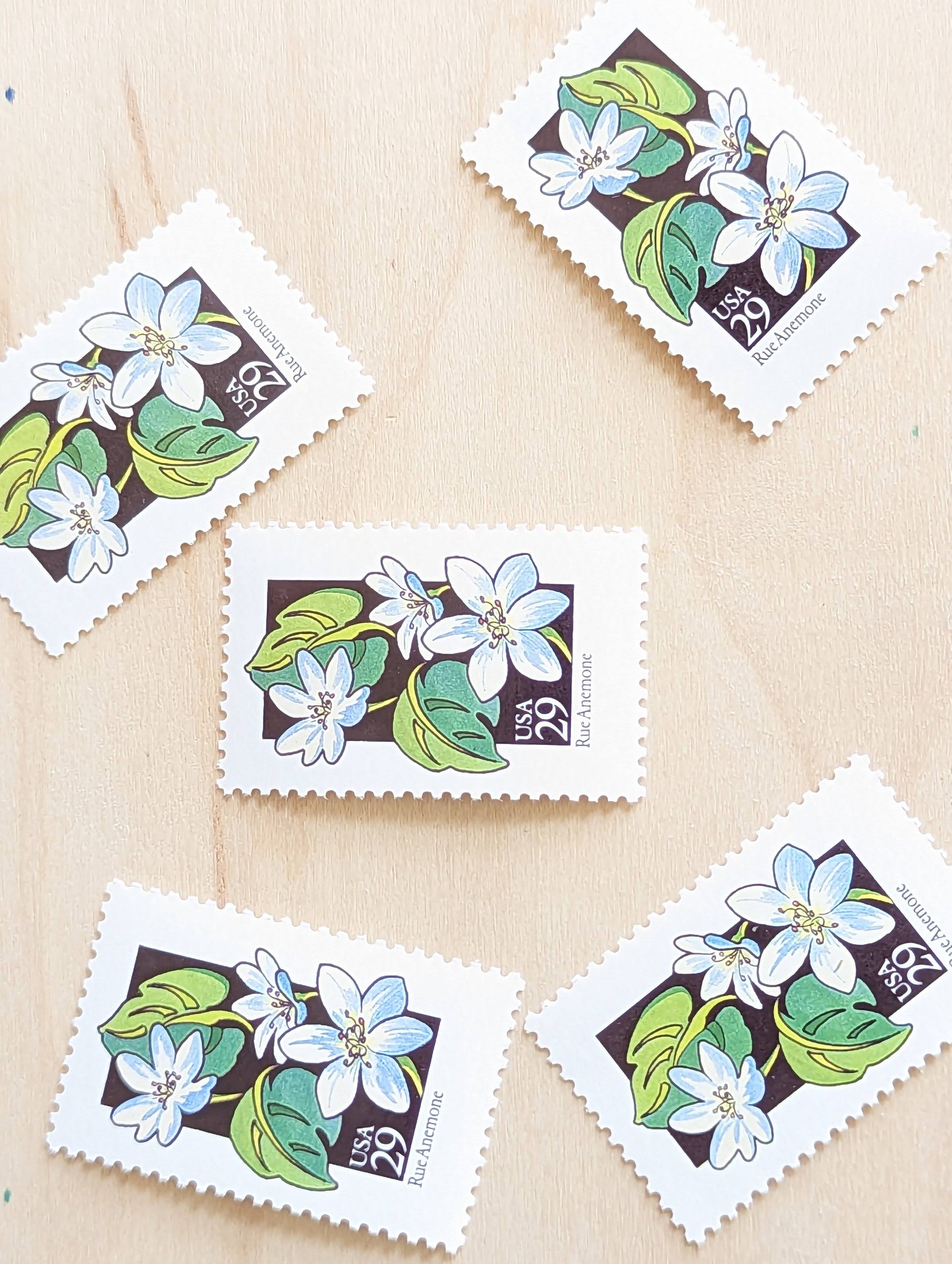 Set of 5 Rue Anemone Wildflower Stamps, 29 cent stamps, 1992 Unused USPS Postage Stamp