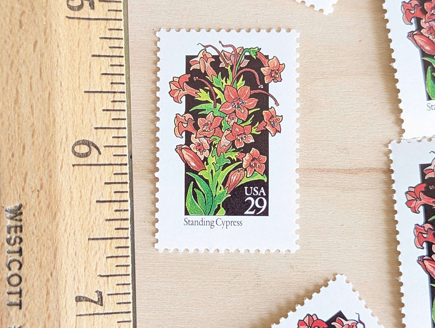 Set of 5 Standing Cypress Wildflower Stamps, 29 cent stamps, 1992 Unused USPS Postage Stamp