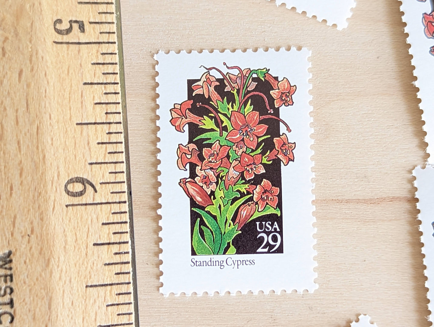 Set of 5 Standing Cypress Wildflower Stamps, 29 cent stamps, 1992 Unused USPS Postage Stamp