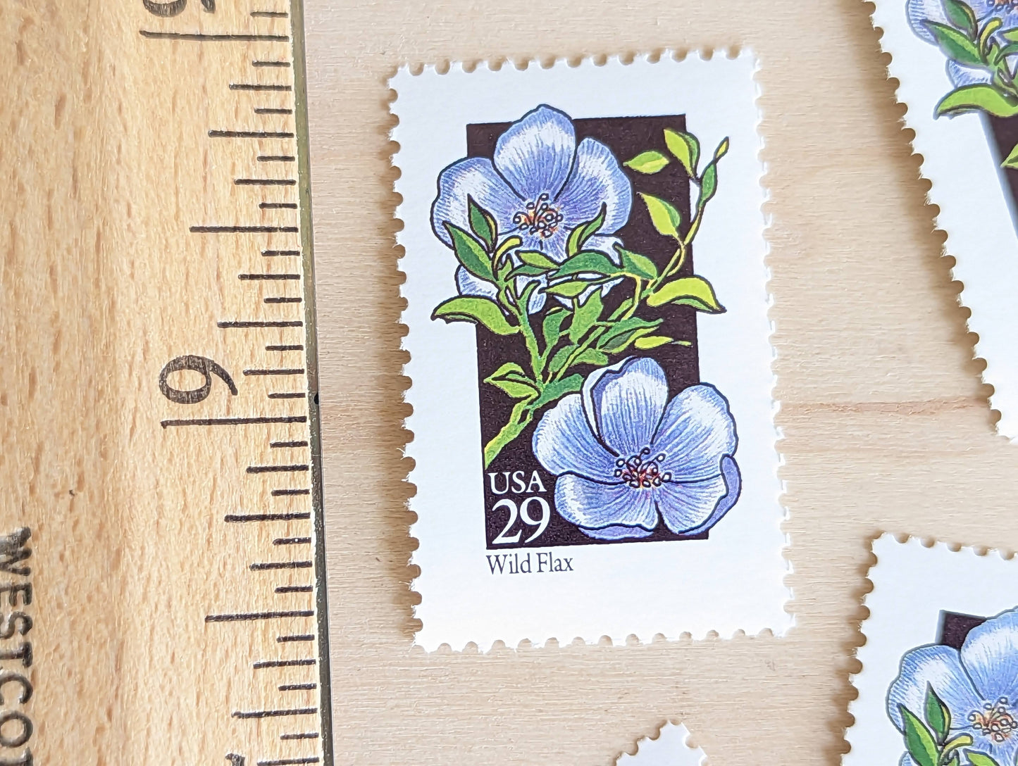 Set of 5 Wild Flax Wildflower Stamps, 29 cent stamps, 1992 Unused USPS Postage Stamp