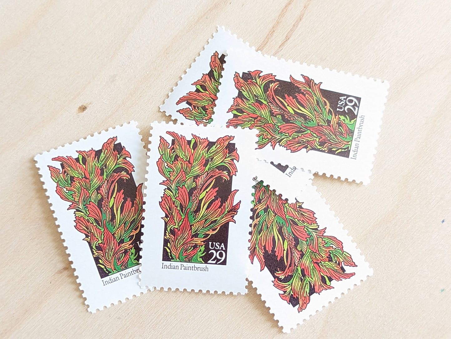 Set of 5 Indian Paintbrush Wildflower Stamps, 29 cent stamps, 1992 Unused USPS Postage Stamp