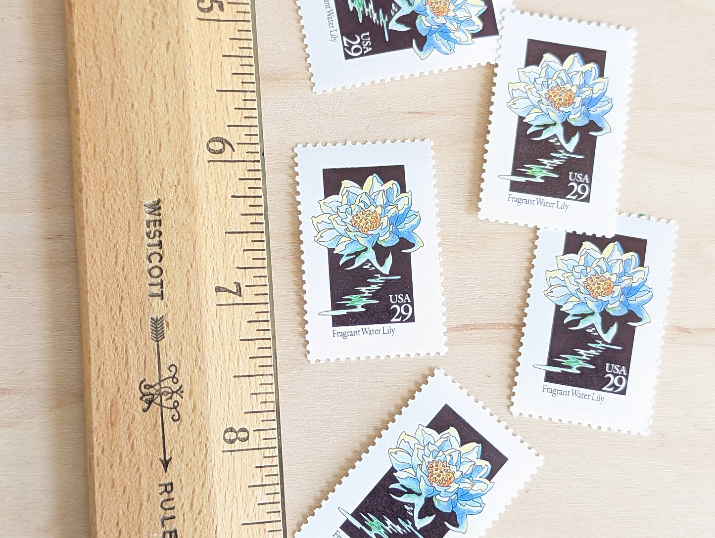 Set of 5 Fragrant Water Lily Wildflower Stamps, 29 cent stamps, 1992 Unused USPS Postage Stamps