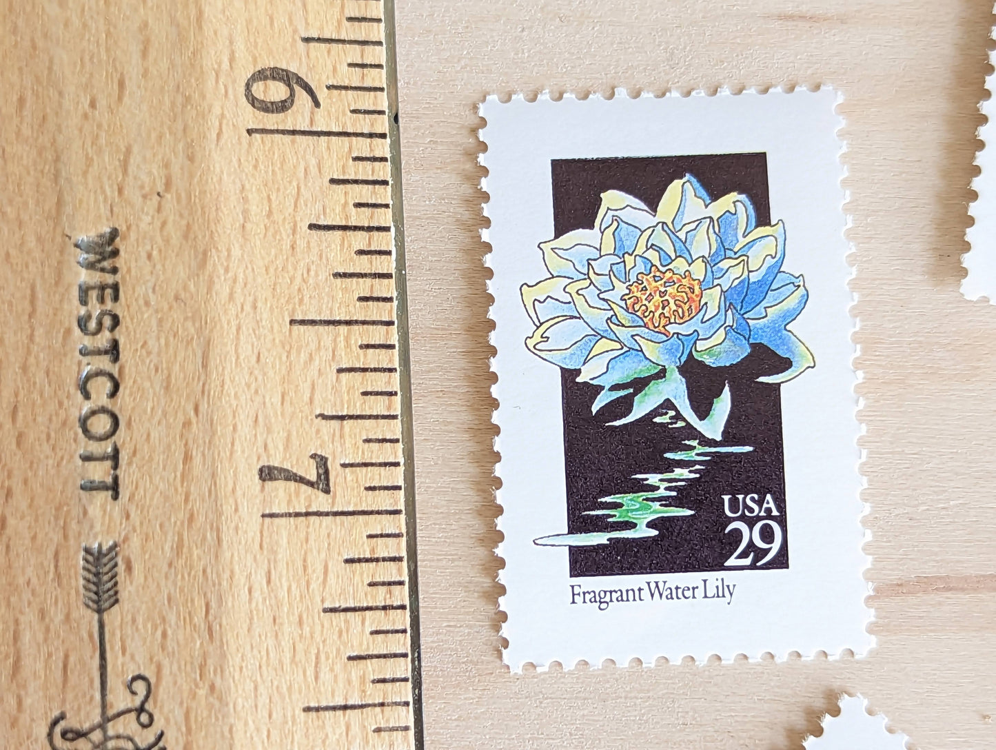 Set of 5 Fragrant Water Lily Wildflower Stamps, 29 cent stamps, 1992 Unused USPS Postage Stamps