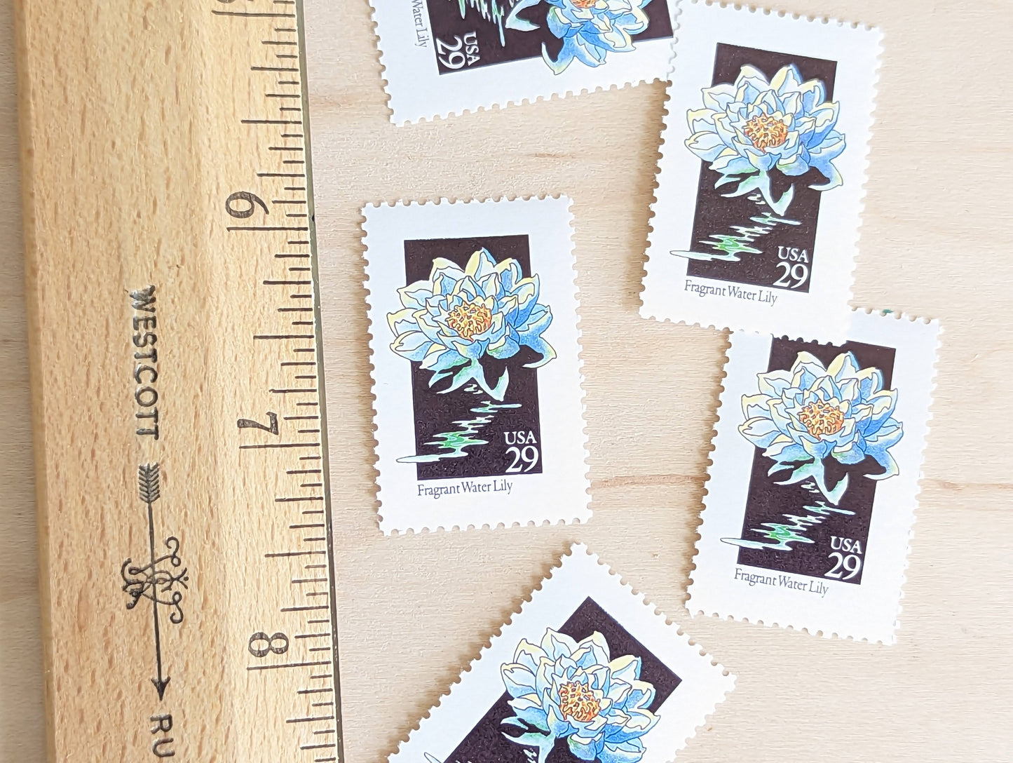 Set of 5 Fragrant Water Lily Wildflower Stamps, 29 cent stamps, 1992 Unused USPS Postage Stamps