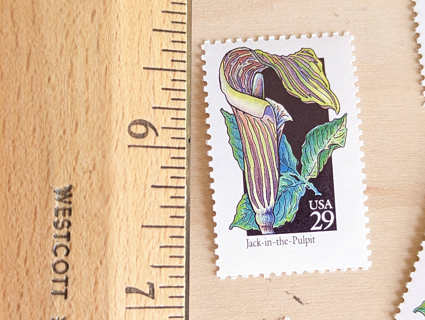 Set of 5 Jack-in-The-Pulpit Wildflower Stamps, 29 cent stamps, 1992 Unused USPS Postage Stamps