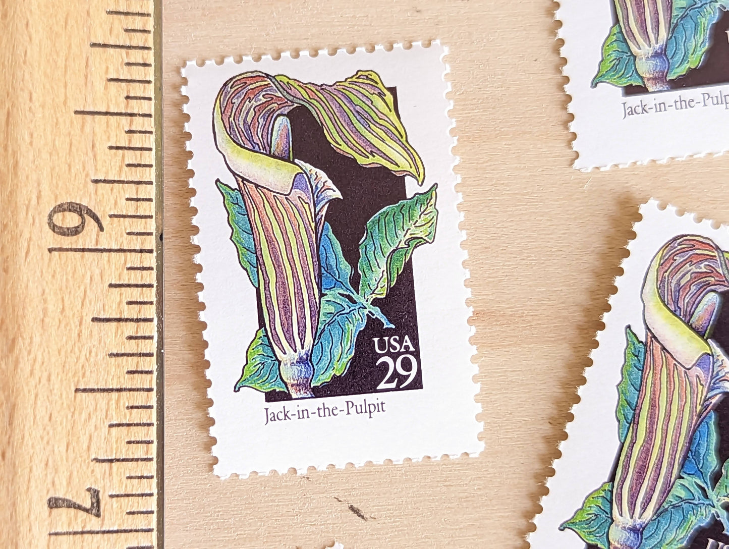 Set of 5 Jack-in-The-Pulpit Wildflower Stamps, 29 cent stamps, 1992 Unused USPS Postage Stamps