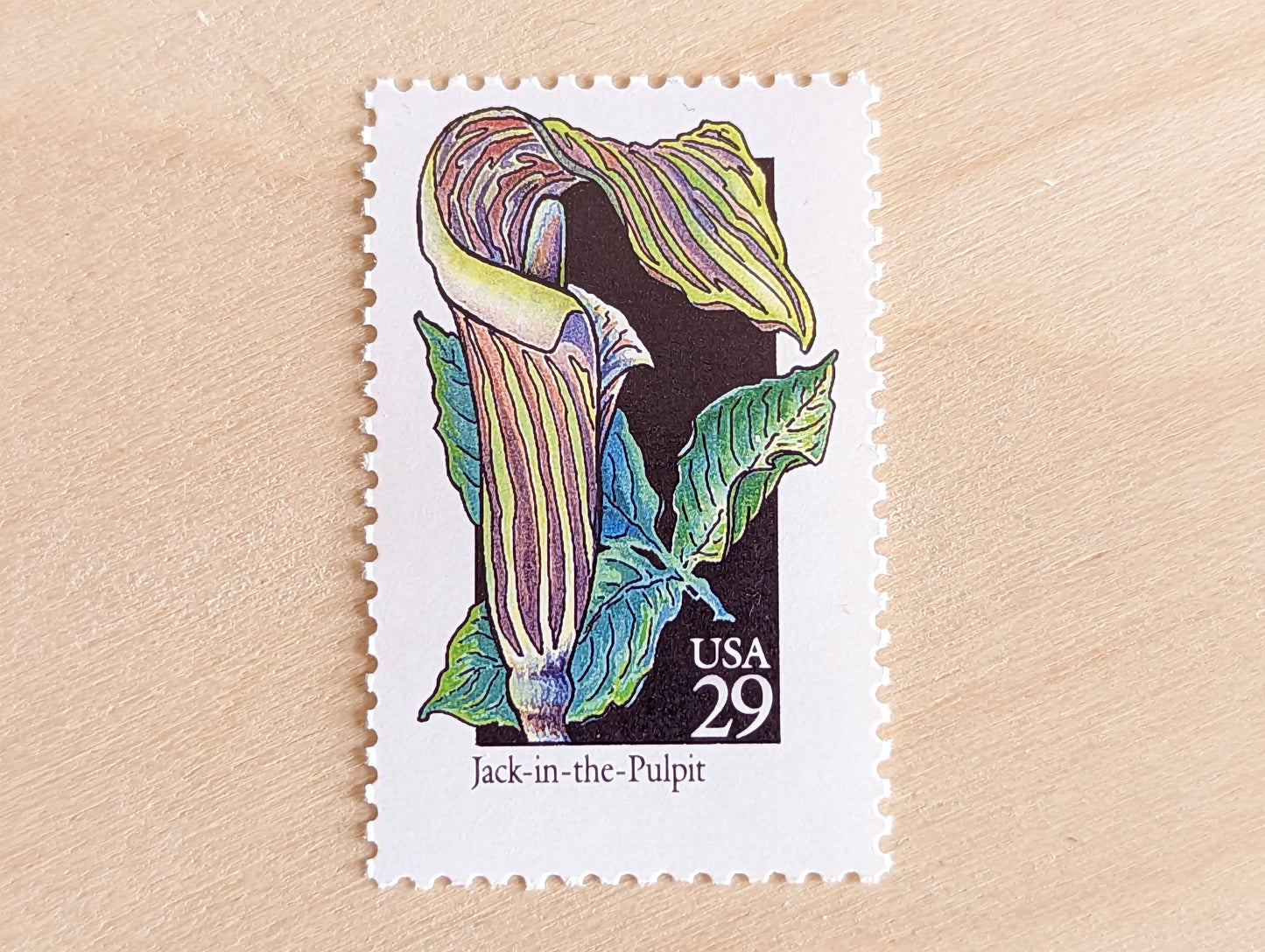 Set of 5 Jack-in-The-Pulpit Wildflower Stamps, 29 cent stamps, 1992 Unused USPS Postage Stamps