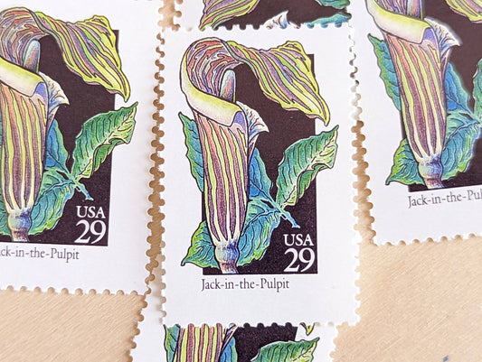 Set of 5 Jack-in-The-Pulpit Wildflower Stamps, 29 cent stamps, 1992 Unused USPS Postage Stamps