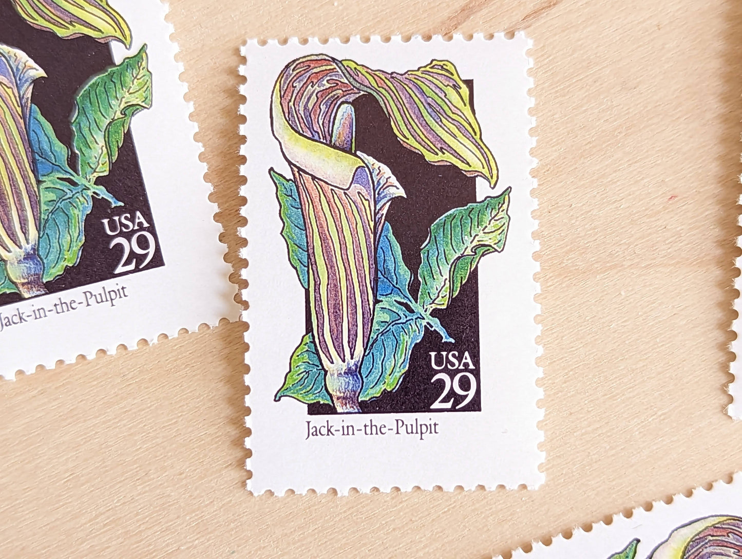 Set of 5 Jack-in-The-Pulpit Wildflower Stamps, 29 cent stamps, 1992 Unused USPS Postage Stamps