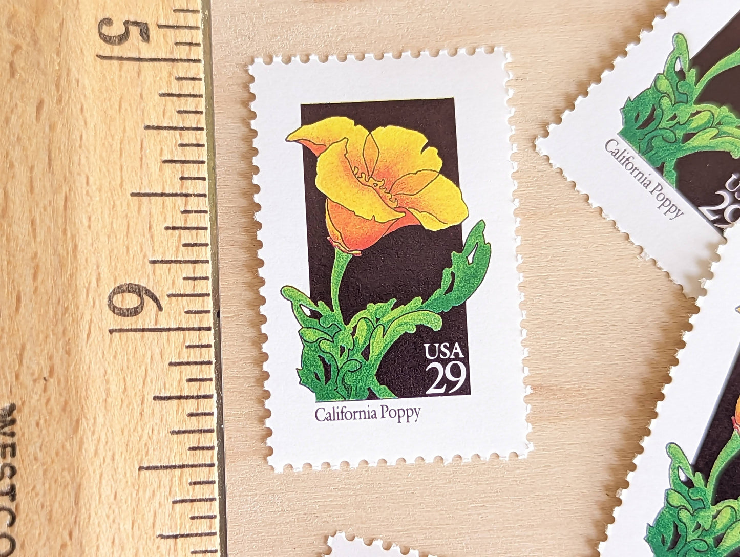 Set of 5 California Poppy Wildflower Stamps, 29 cent stamps, 1992 Unused USPS Postage Stamps