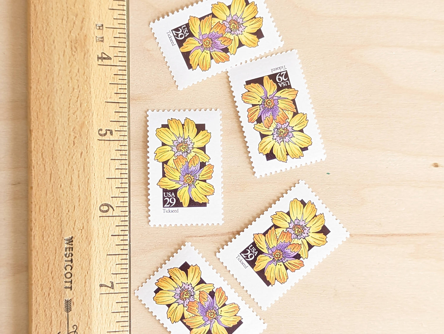 Set of 5 Tickseed Wildflower Stamps, 29 cent stamps, 1992 Unused USPS Postage Stamp