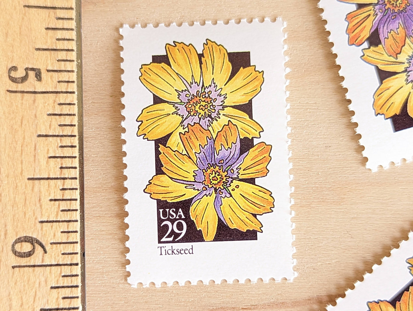 Set of 5 Tickseed Wildflower Stamps, 29 cent stamps, 1992 Unused USPS Postage Stamp