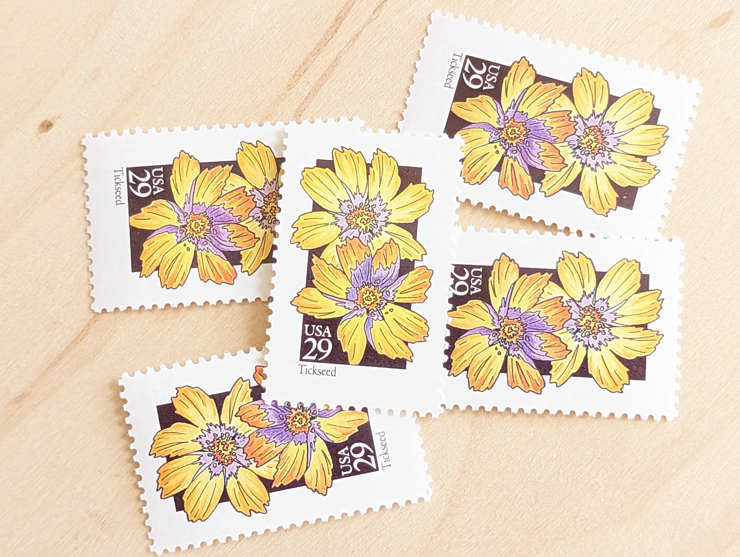 Set of 5 Tickseed Wildflower Stamps, 29 cent stamps, 1992 Unused USPS Postage Stamp