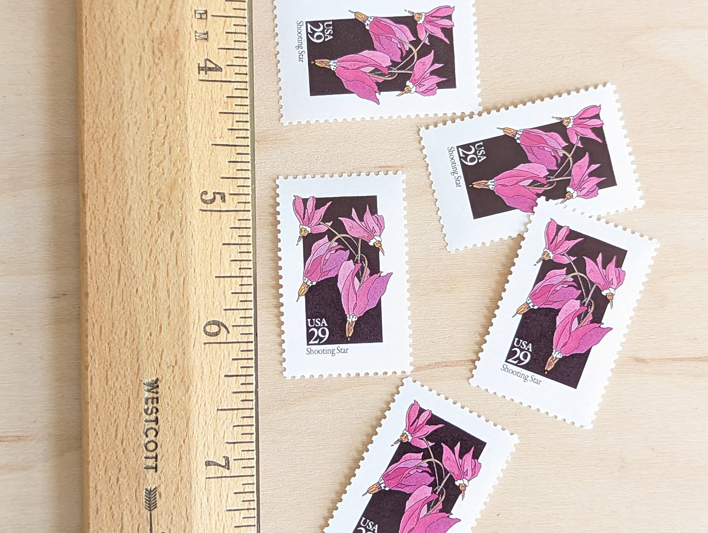 Set of 5 Shooting Star Wildflower Stamps, 29 cent stamps, 1992 Unused USPS Postage Stamp