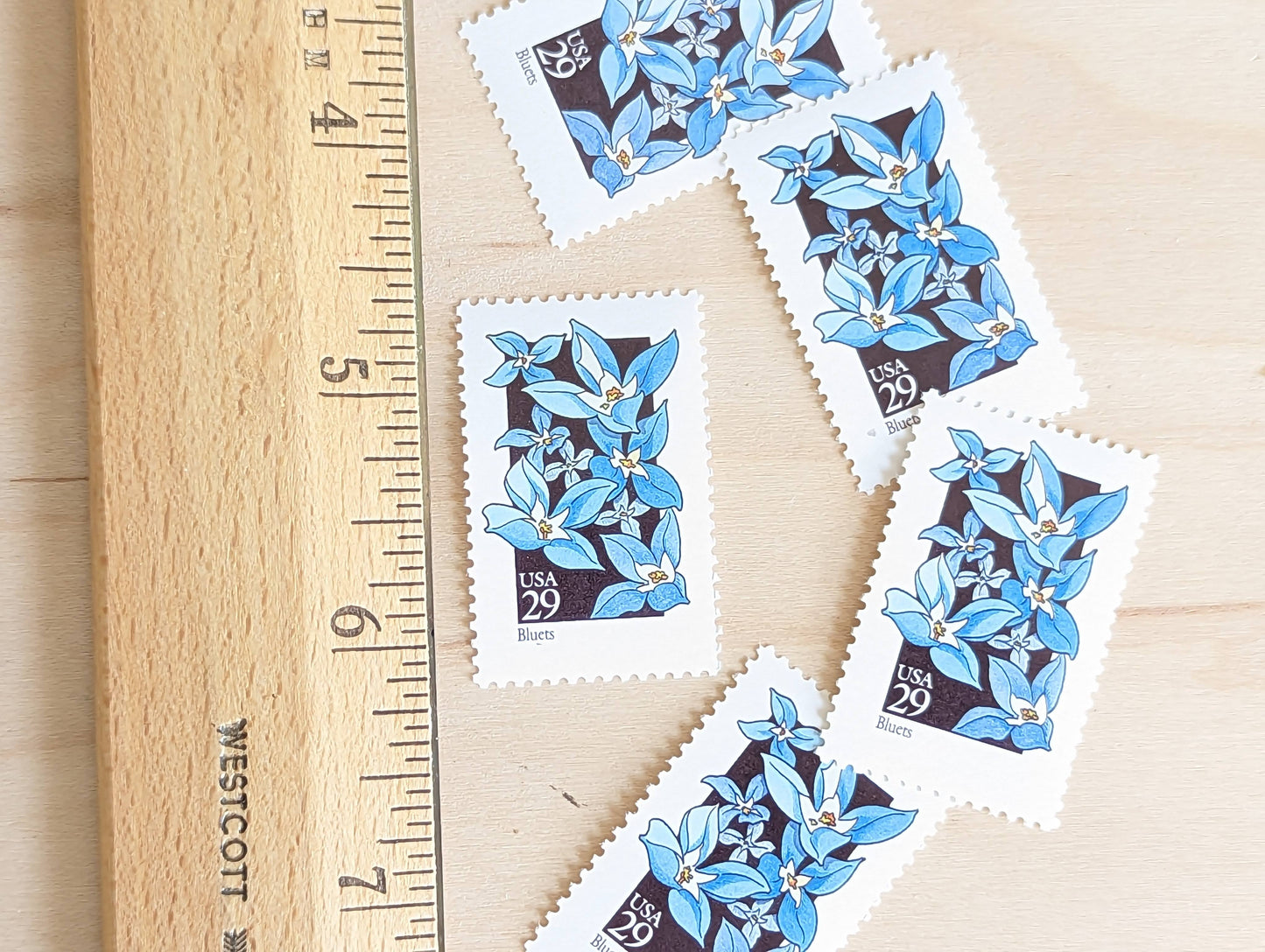 Set of 5 Bluets Wildflower Stamps, 29 cent stamps, 1992 Unused USPS Postage Stamp