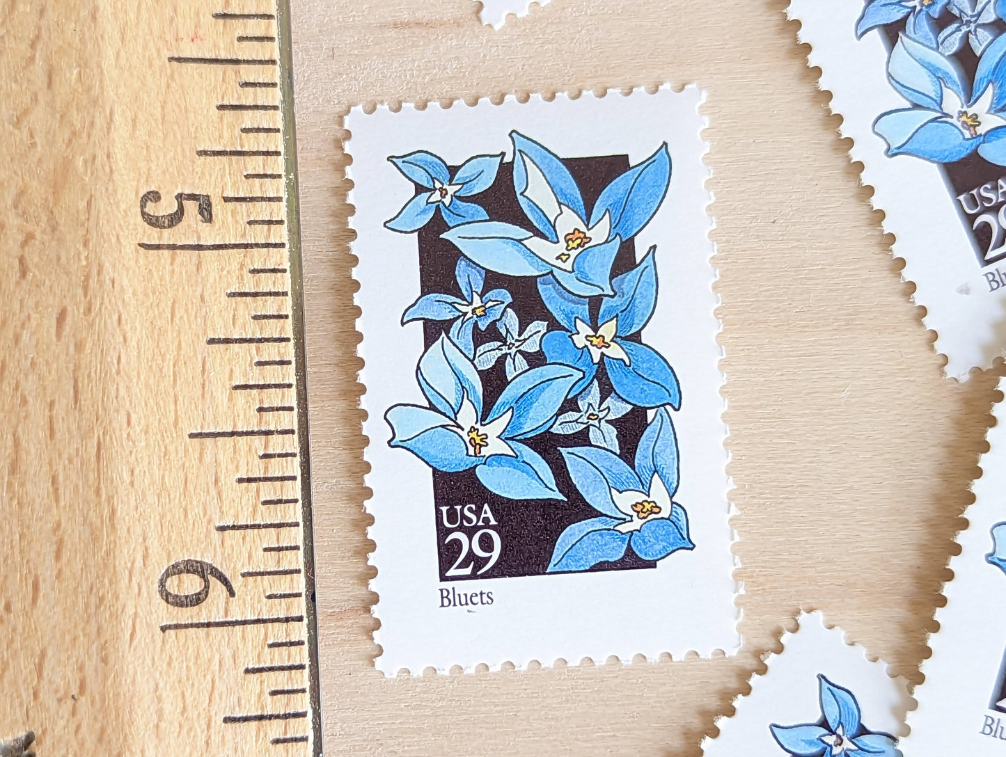 Set of 5 Bluets Wildflower Stamps, 29 cent stamps, 1992 Unused USPS Postage Stamp