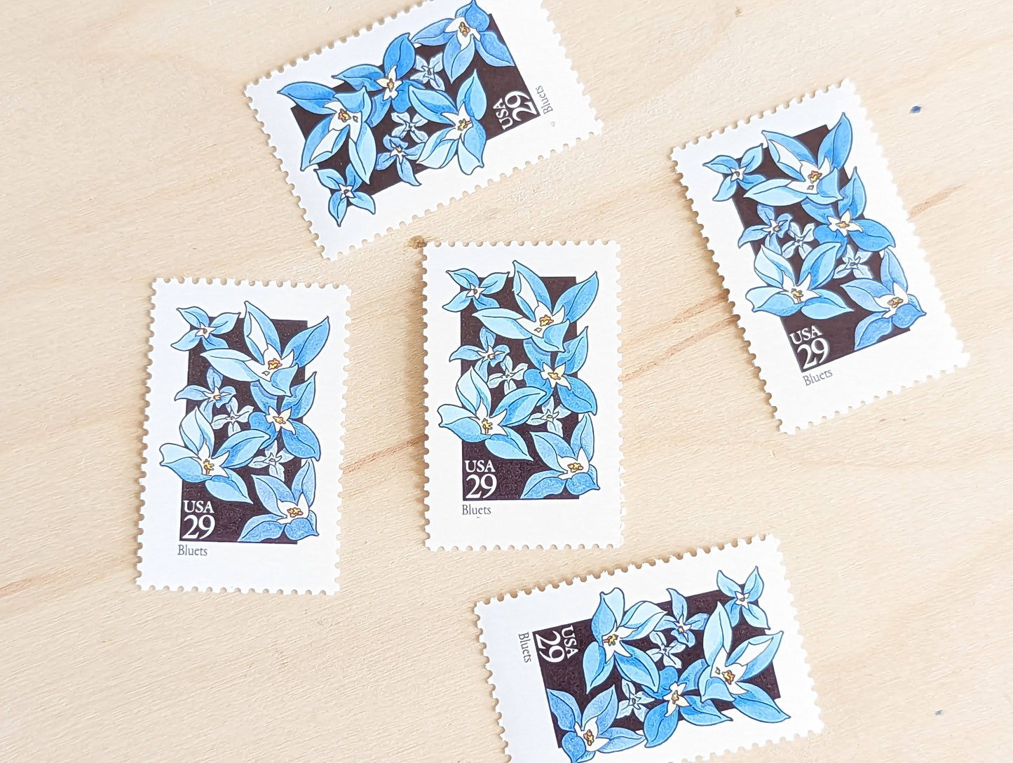 Set of 5 Bluets Wildflower Stamps, 29 cent stamps, 1992 Unused USPS Postage Stamp