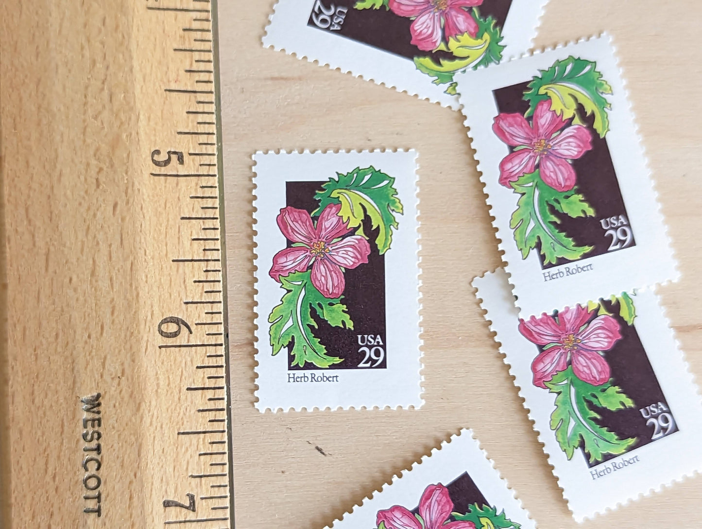 Set of 5 Herb Robert Wildflower Stamps, 29 cent stamps, 1992 Unused USPS Postage Stamp