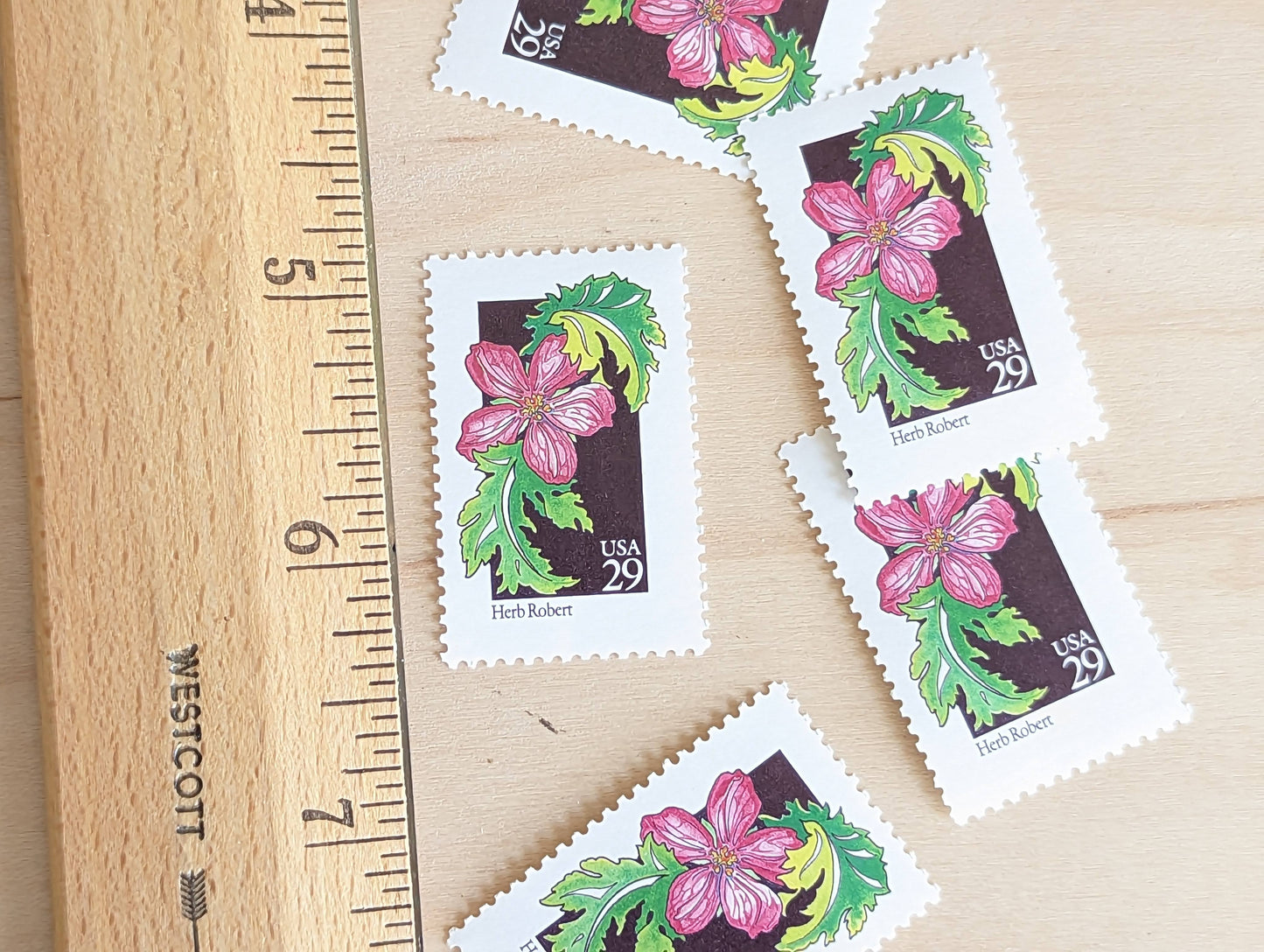 Set of 5 Herb Robert Wildflower Stamps, 29 cent stamps, 1992 Unused USPS Postage Stamp